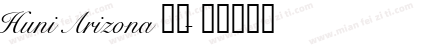Huni Arizona常规字体转换